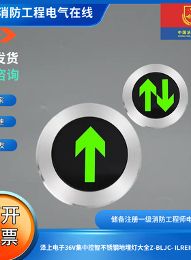 泽上电子36V集中控制不锈钢地埋灯大全Z-BLJC- ILREIIW-1536