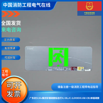 广东欣久36v集控彩钢疏散标志灯XJ-BLJC-1LROEII0.6W-CB2单面疏散