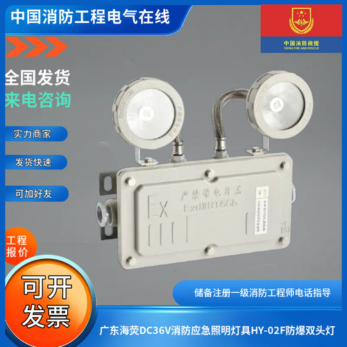 广东海荧DC36V消防应急照明灯具HY-02F防爆双头灯