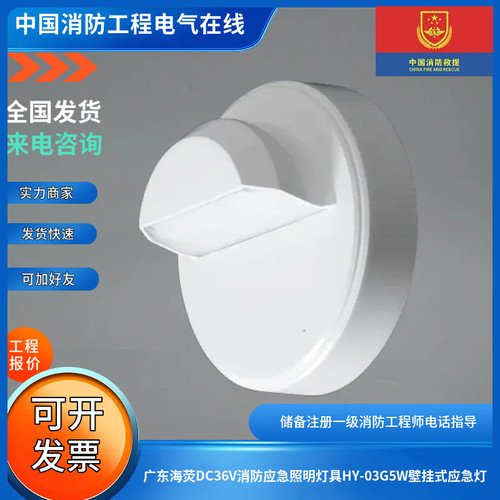 广东海荧DC36V消防应急照明灯具HY-03G5W壁挂式应急灯