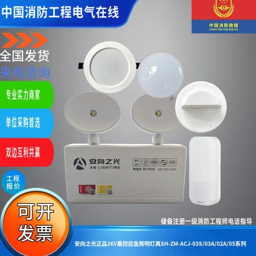 安向之光正品36V集控应急照明灯具SH-ZM-ACJ-03S/03A/02A/05系列