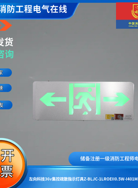 左向科技36v集控疏散指示灯具Z-BLJC-1LROEII0.5W-I401M单面双向