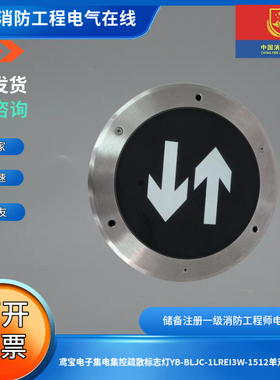 鸢宝电子集电集控疏散标志灯YB-BLJC-1LREI3W-1512单双向地埋灯
