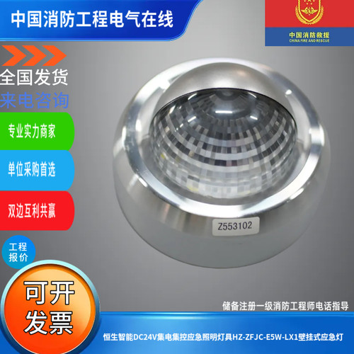 恒生智能DC24V集电集控应急照明灯具HZ-ZFJC-E5W-LX1壁挂式应急灯