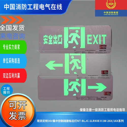 现货尼特36V集中控制疏散标志灯NT-BLJC-1LRX0EⅡ1W-26X/16X系列