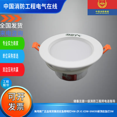 海湾原厂正品现货集控应急照明灯HW-ZFJC-E3W-SN650嵌顶应急灯3W