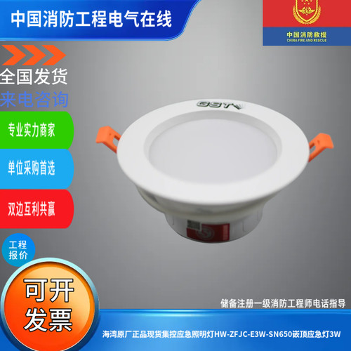 海湾原厂正品现货集控应急照明灯HW-ZFJC-E3W-SN650嵌顶应急灯3W