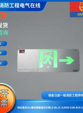 利达英杰36v集控疏散指示灯具LD-BLJC-1LROE II1W-B15-2单面向右