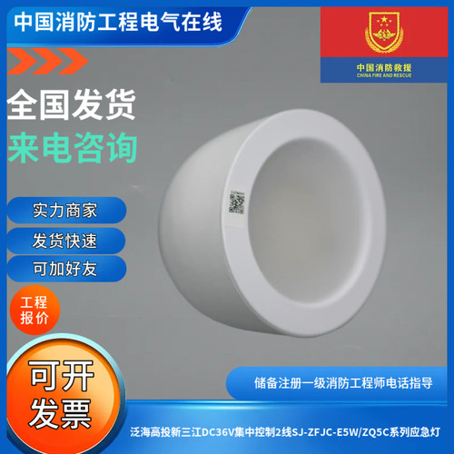 泛海高投新三江DC36v集中控制2线应急灯SJ-ZFJC-E5W/ZQ5C壁挂型
