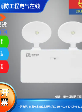 中消电子36V集电集控应急照明灯ZX-ZM-ACJ(FE240lm)-1111C双头灯
