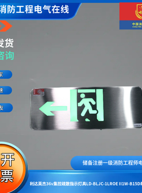 利达英杰36v集控疏散指示灯具LD-BLJC-1LROE II1W-B15D单面左向