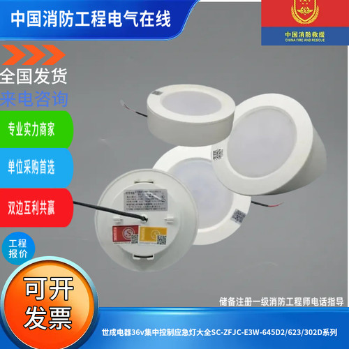 世成电器应急灯壁挂式嵌入明装