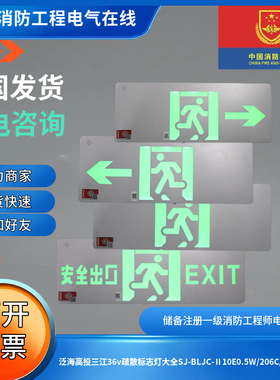 泛海高投三江36v疏散标志灯大全SJ-BLJC-Ⅱ10E0.5W/206C/201/202C