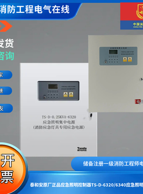 泰和安正品应急照明集中电源TS-D-0.15KVA-6315/6320/6330/6340