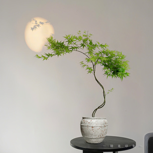 流泉枫室内盆栽高端轻奢茶室书桌植物枫叶好养易活高颜值桌面绿植