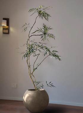 十大功劳盆栽客厅轻奢风中式绿植
