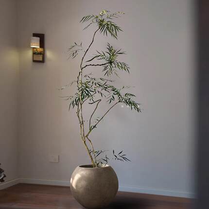 十大功劳盆栽新中式禅意绿植轻奢风客厅落地植物侘寂风造型氛围树