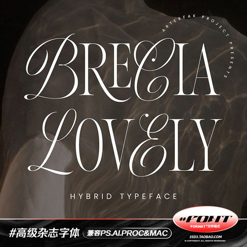 PROCREAT英文字体安装包经典复古高级优雅婚礼杂志风衬线花体组合