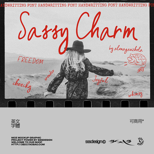 3SD3可商用文艺高级轻松文艺简约马克笔手写连笔艺术签名英文字体