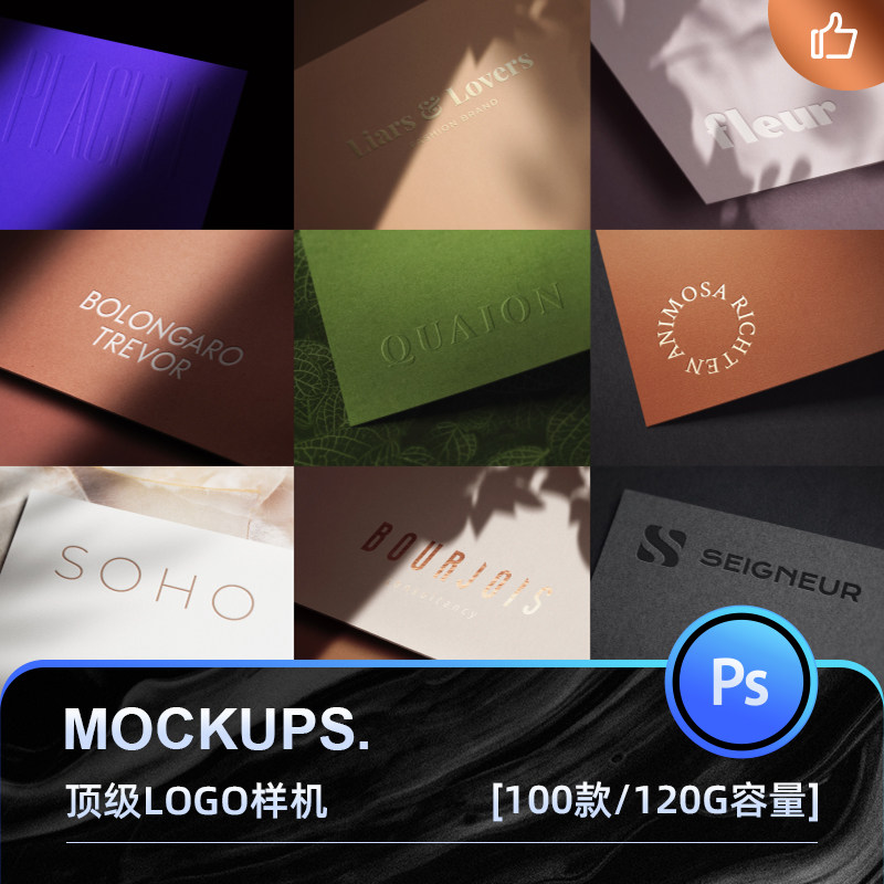 3SD3高端质感高级商业精美品质VI提案LOGO样机展示智能贴图PS素材