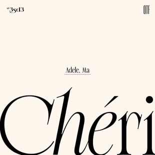 3SD3现代简约婚礼杂志高级精致走秀衬线LOGO标题PS英文字体安装包