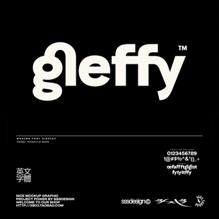 SSSDESIGN高级专业极简好看商业LOGO标题PROCREATE英文PSAI字体包