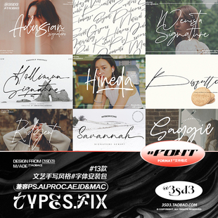 3SD3 高级优雅国外艺术随意手写手绘连笔签名PROCREATEPSAI英文字