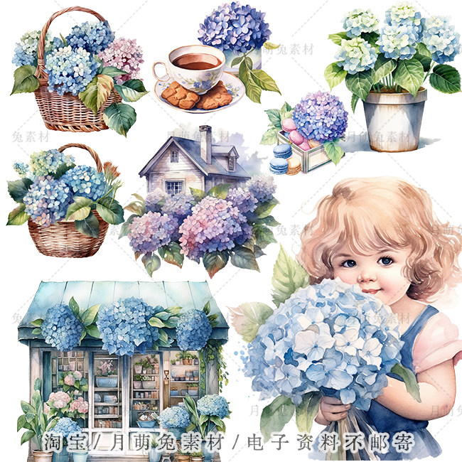 水彩绣球花盆栽花篮绣球花插画海报装饰剪贴画手账png设计素材