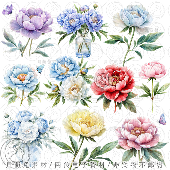 复古唯美彩色牡丹花花卉花束插画海报装饰剪贴画手账png设计素材图片