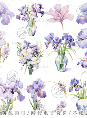 水彩紫色鸢尾花卉插画海报装饰剪贴画手账png设计素材