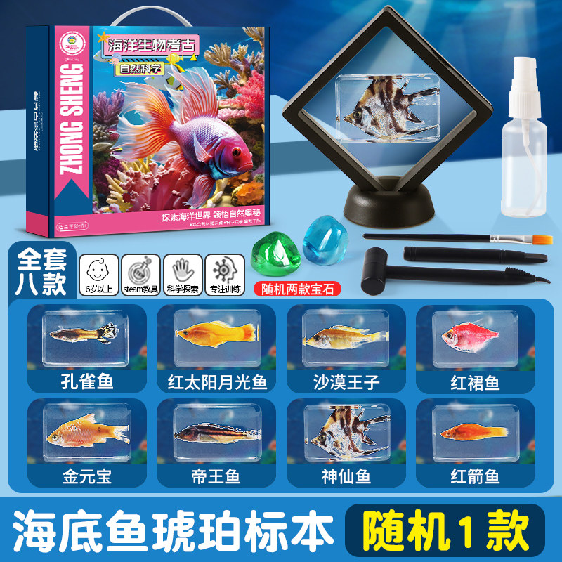盲盒考古挖掘琥珀收藏