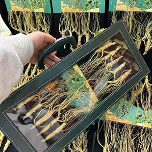 人参节日送长辈的礼物实用高档给爸爸丈母娘领导见家长面回馈客户