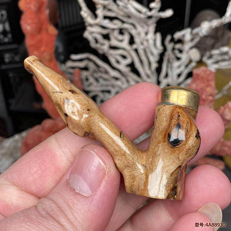 天然海柳烟嘴血柳活柳双重循环
