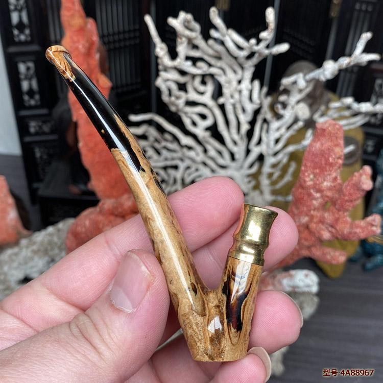 天然海柳烟嘴血柳活柳双重循环