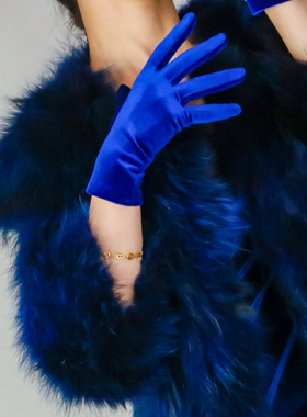 宝蓝色克莱因蓝丝绒手套22cm女短款晚礼服高弹力天鹅绒演出晚礼服