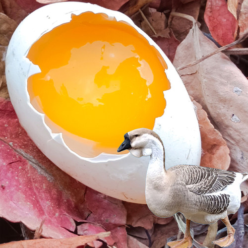狮头鹅蛋新鲜农家散养孕妇去胎毒现捡现发个大单枚达160-200g/个
