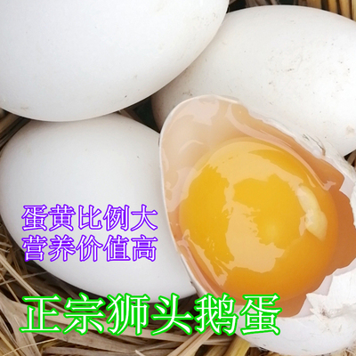 正宗潮汕狮头鹅蛋160g-200g枚农家散养新鲜去胎毒每箱6枚装广东省