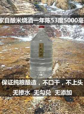 温州平阳53度自酿烧酒米酒白酒米烧原浆农家泡酒糯米酒药酒5000ml