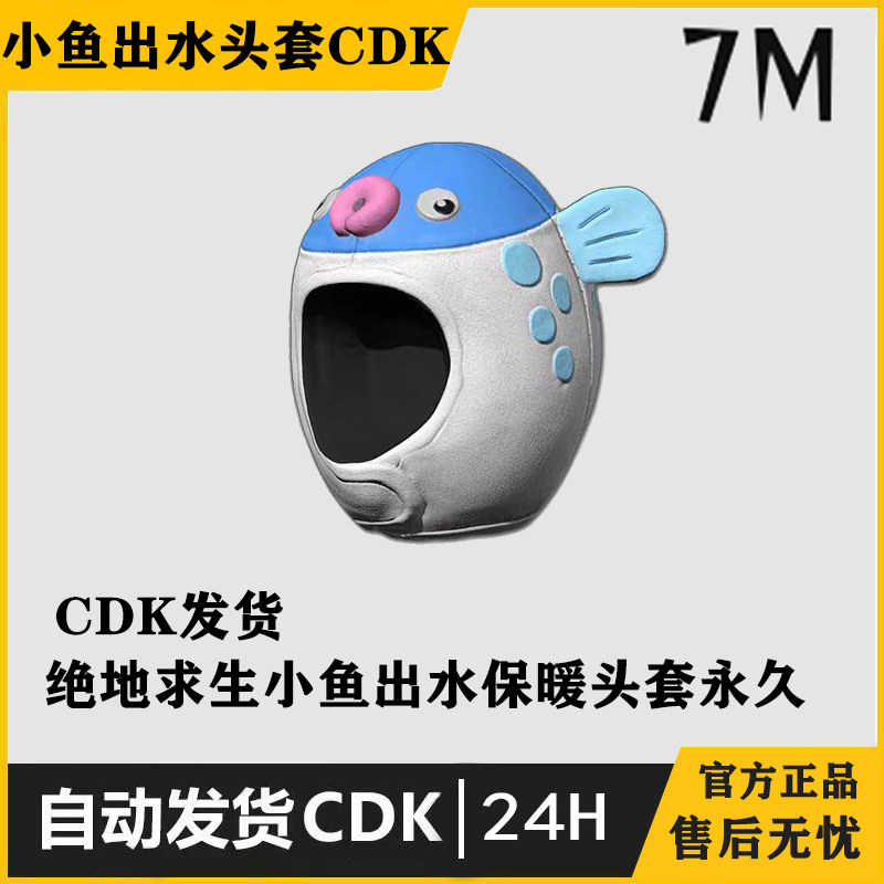PUBG绝地求生小鱼出水保暖头套吃鸡皮肤CDK游戏饰品steam兑换码图片