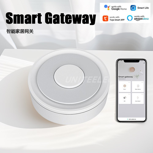 苹果HomeKit双模有线涂鸦网关