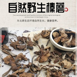 东北森林榛蘑东北蘑菇小兴安岭蘑菇家常做法下饭小鸡炖蘑菇炖菜