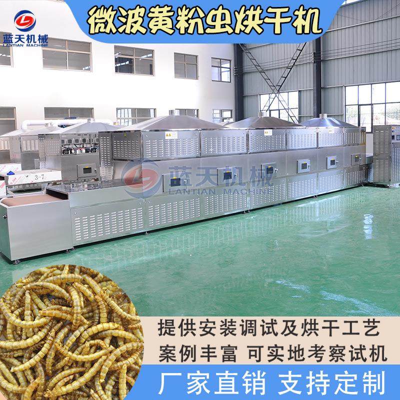 微波黄粉虫烘干机 隧道式面包虫活虫熟化膨化设备 大麦虫干燥机器