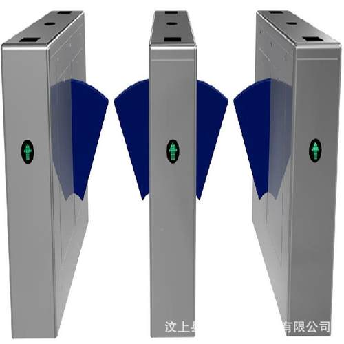 桥式圆弧翼闸小道区翼闸 纹指翼闸人 脸翼闸 通闸