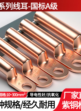 国标紫铜压接线耳DT10 16 25 35 50平方镀锡铜电线接线端子铜鼻子