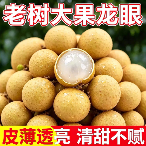 顺丰龙眼新鲜5斤老树大果当季水果现摘现发整箱包邮泸州桂圆