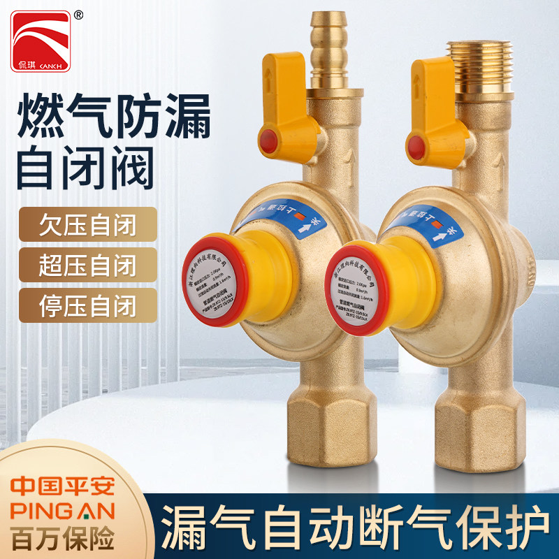 煤气阀家用煤气罐安全阀自动关闭阀门燃气国标自闭阀液化气减压阀