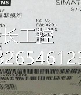 6ES7212-1AB23-0XB8西门子S7-200CN数字输入模块询价