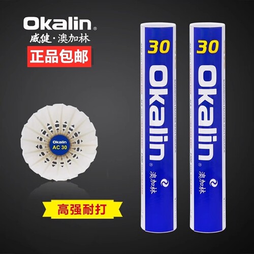 澳加林羽毛球稳定耐打比赛训练