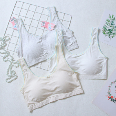 薄大码固定胸垫 学生二三阶段发育期少女内衣背心文胸宠贝佳11267