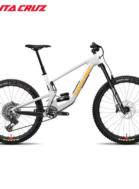 美国Santa Cruz Bronson MX布朗森碳纤维越野全地形山地车279
